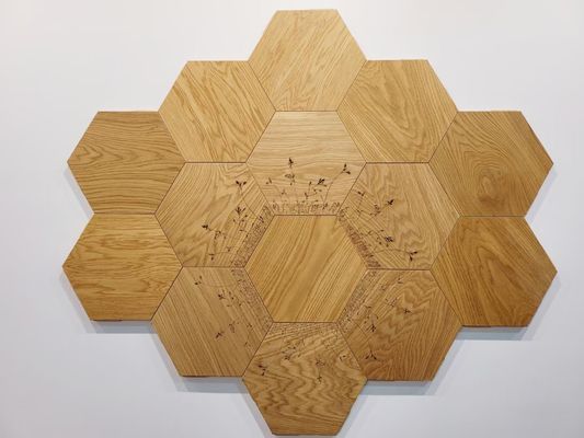 Holzfußboden von Parkett Boden Moderner Design 18mm Holzfußboden