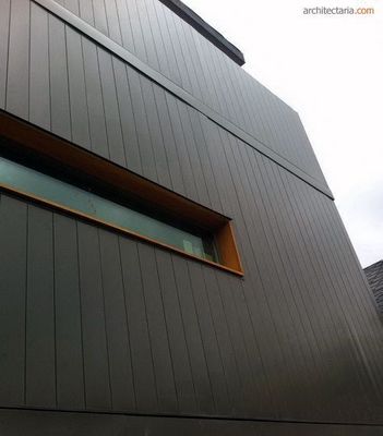 angepasste Farbe WPC-Extrusionsfluted Außenwandplatte für moderne Außenverkleidung